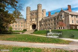 গ্যালারি 3